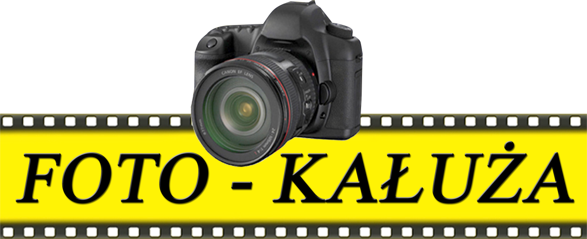 logo(2)